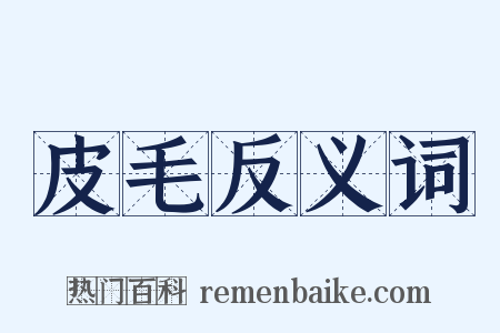 皮毛反义词是什么意思的图片